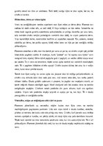 Эссе 'Pārdomas, izlasot Ingas Ābeles romānu “Uguns nemodina”', 4.