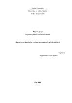Реферат 'Regresijas un korelācijas analīzes izmantošana tirgzinību pētīšanā', 1.