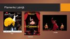 Презентация 'Flamenko', 11.