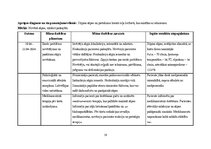 Реферат 'Aprūpes plāns pacientam ar ceļu locītavu artrītu', 19.