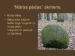 Презентация 'Māra latviešu folklorā', 14.