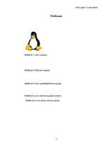 Реферат 'Linux operētājsistēma', 17.