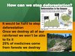 Презентация 'Deforestation', 9.