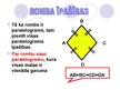 Презентация 'Rombs. Paralelograms', 2.