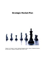Бизнес план 'Strategic Marketing Plan', 1.
