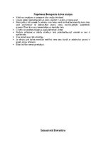 Конспект 'Napoleons Bonaparts', 19.