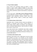 Эссе 'Apdrošināšanas tiesību aktu analīze un īstenošana praksē Latvijā un Eiropas Savi', 2.