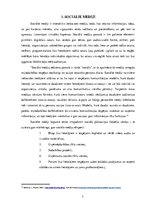 Реферат 'Influencera profesijas tēls: auditorijas un sabiedrisko attiecību profesionāļu v', 7.