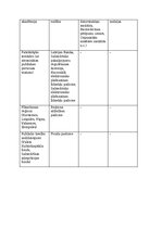 Конспект 'Publisko tiesību juridisko personu sistēma Latvijā', 3.