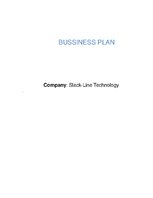 Бизнес план 'Business Plan for Slack-Line Tech Company', 1.
