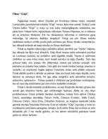 Эссе 'Kultūras dienasgrāmata', 2.