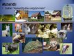 Презентация 'Integrētā temata "Mājdzīvnieki" nedēļas plāns ar izvērsto dienu - ceturtdienu', 20.