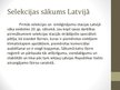 Презентация 'Selekcija Latvijā', 5.