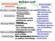 Презентация 'Muguras smadzeņu uzbūve un funkcijas', 14.