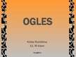 Презентация 'Ogles', 1.