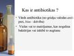 Презентация 'Antibiotikas', 2.