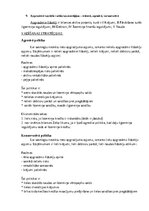 Конспект 'Korporatīvās finanses - eksāmens', 9.