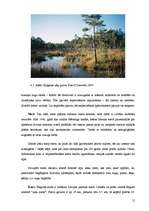 Отчёт по практике 'Engures dabas parks', 12.