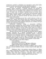 Реферат 'Komercbanku darbība un finanšu pakalpojumi', 15.