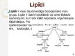 Презентация 'Makromolekulas. Lipīdi. Polisaharīdi. Proteīni. Nukleīnskābes', 14.
