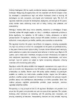 Эссе 'EU regulation for AI', 1.