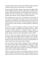 Эссе 'EU regulation for AI', 4.