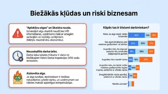 Презентация 'Darba tiesību un nodokļu pamati Latvijā', 9.