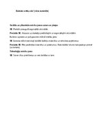 Отчёт по практике 'Agrīnās bērnības pedagoģiskās prakses dienasgrāmata', 25.