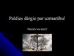 Презентация 'Taisnīguma principi Latvijas Republikas tiesībās', 17.