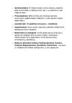 Конспект 'Mākslas periodu hronoloģija', 3.