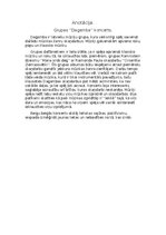 Эссе 'Grupas ''Dagamba'' koncerts', 1.