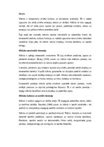 Эссе 'Māksla kā cilvēka eksistences atspulgs: emocionālā un kultūras dimensija', 1.