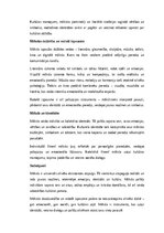 Эссе 'Māksla kā cilvēka eksistences atspulgs: emocionālā un kultūras dimensija', 2.