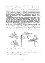 Реферат 'Rododendri un veģetatīvā pavairošana', 7.