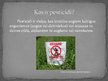 Презентация 'Pesticīdi', 2.