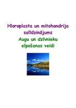 Реферат 'Hloroplasta un mitohondrija salīdzinājums', 1.