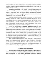 Дипломная '4 – 5 gadīgu bērnu vārdu krājuma bagātināšana āra nodarbībās', 33.