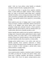 Эссе 'Politika un mūsdienu sabiedrība: varas struktūras, lēmumu pieņemšana un pilsoņu ', 2.