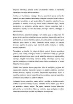 Эссе 'Politika un mūsdienu sabiedrība: varas struktūras, lēmumu pieņemšana un pilsoņu ', 3.