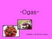 Презентация 'Ogas', 1.