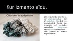 Презентация 'Zīds', 3.
