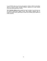 Реферат 'Emocionālās smadzenes', 11.