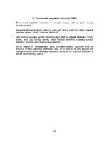 Реферат 'Emocionālās smadzenes', 29.
