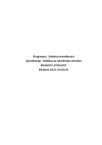 Отчёт по практике 'Prakses deju studijā', 1.
