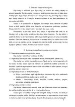 Отчёт по практике 'Prakses deju studijā', 3.
