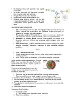 Конспект 'Šūnu uzbūve un procesi šūnā', 5.
