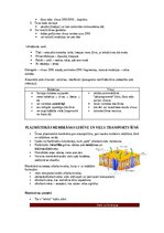Конспект 'Šūnu uzbūve un procesi šūnā', 6.
