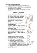 Конспект 'Šūnu uzbūve un procesi šūnā', 15.