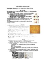 Конспект 'Šūnu uzbūve un procesi šūnā', 18.