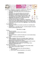 Конспект 'Šūnu uzbūve un procesi šūnā', 22.